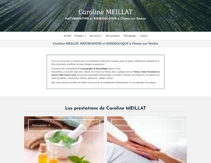 Caroline MEILLAT Clonas-sur-Varèze, Bilan naturopathique