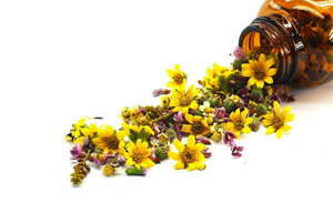 Espace-Naturo Gannat, Bilan naturopathique