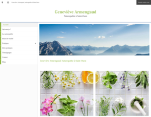 Geneviève Armengaud Saint-Ouen, Bilan naturopathique
