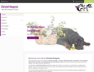 CH Massage-Naturo-Energéticienne Looze, Bilan naturopathique