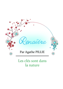 Agathe Pillié Cléguérec, Bilan naturopathique, Bilan naturopathique, Nutrition et micro nutrition