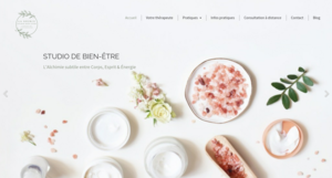 La Source Studio bien-être Tours, Bilan naturopathique