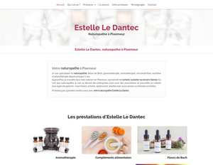 Estelle Le Dantec Merlevenez, Bilan naturopathique