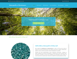 Naturopathie et Biorésonance Lamotte-Beuvron, Bilan naturopathique