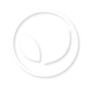 Sylvie Simonnet Treffiagat, Bilan naturopathique