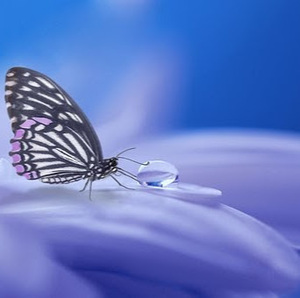 Patricia Giffard Montjoi, 