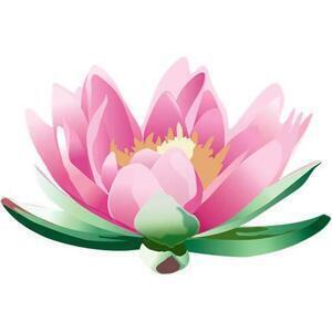 BIEN ÊTRE ET SANTE POUR TOUS - Nicole Abadie Naturopathe Muret, 