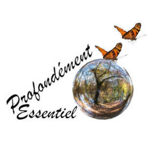 Profondément Essentiel Noisiel, Bilan naturopathique, Naturopathe